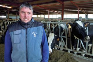 Agromuralla le recomienda calma a las granjas para renovar los contratos de la  leche