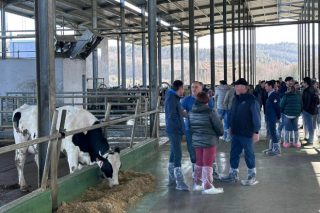 700 ganaderos de toda la Península asisten a la jornada de puertas abiertas en SAT Lodos e Pérez, en A Pastoriza