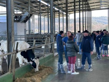 700 ganaderos de toda la Península asisten a la jornada de puertas abiertas en SAT Lodos e Pérez, en A Pastoriza