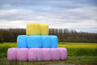 Delagro anima a los ganaderos a adquirir plásticos de ensilado de colores para sumarse a la lucha contra el cáncer