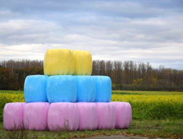 Delagro anima a los ganaderos a adquirir plásticos de ensilado de colores para sumarse a la lucha contra el cáncer