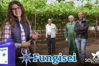 Cómo la tecnología Furity de Seipasa mejora la acción del fungicida ‘Fungisei’