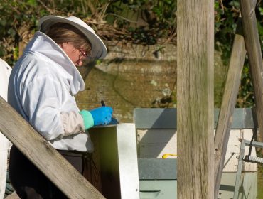 Curso en el Barbanza de iniciación a la apicultura