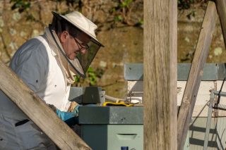 Curso de iniciación a la apicultura en San Sadurniño