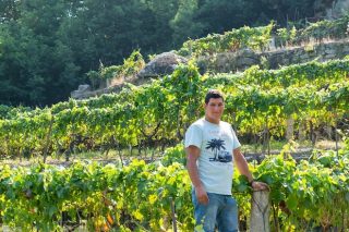 «El vino blanco del Ribeiro tiene muy buena demanda, no damos producido lo que pide el mercado»