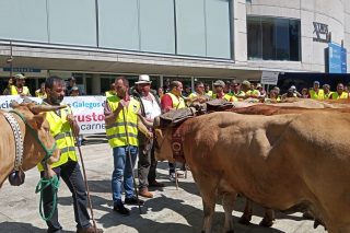 Manifestación de ganaderos de Suprema este viernes en Madrid