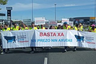 Acruga apoya la manifestación de los ganaderos de Suprema de este jueves en Lugo