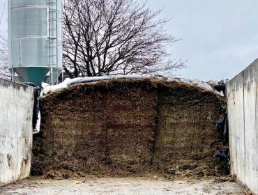 Pautas para la correcta conservación del silo de hierba