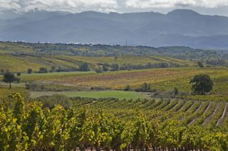 Charla el próximo viernes en Sober sobre los vinos de paraje y parcela en la Denominación de Origen Bierzo