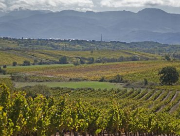 Charla el próximo viernes en Sober sobre los vinos de paraje y parcela en la Denominación de Origen Bierzo