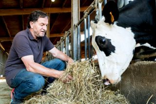 Granja Comas: Producir leche a base de alfalfa en una zona 