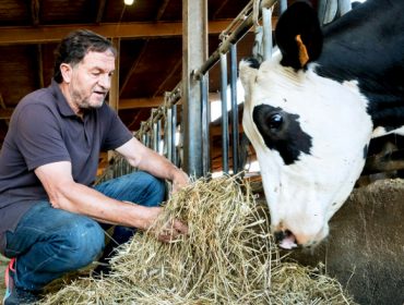 Granja Comas: Producir leche a base de alfalfa en una zona «vulnerable» con el alquiler de la tierra en 600 euros la hectárea