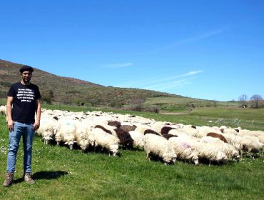 Granxa A Ciruxana, la apuesta de un joven por dar valor a la oveja gallega