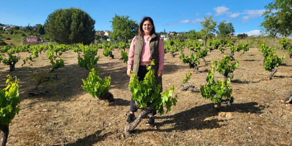“Los vinos del Bierzo clasificados por parcela y paraje tienen muy buena acogida en el mercado”
