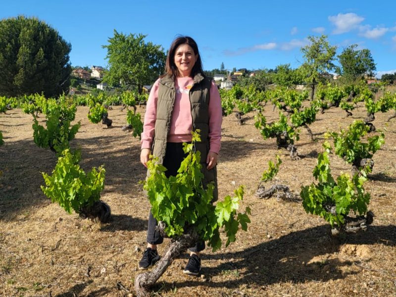 “Los vinos del Bierzo clasificados por parcela y paraje tienen muy buena acogida en el mercado”