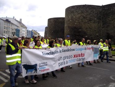 Asemblea de Gandeiros Galegos da Suprema el lunes 18 en Lugo