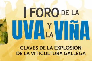 Este martes Ourense acoge el «I Foro de la uva y del vino: Claves de la explosión de la viticultura gallega»