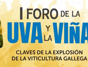 Este martes Ourense acoge el «I Foro de la uva y del vino: Claves de la explosión de la viticultura gallega»