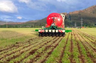 Siembra directa de maíz con aplicación localizada de purín: una opción pionera en Galicia