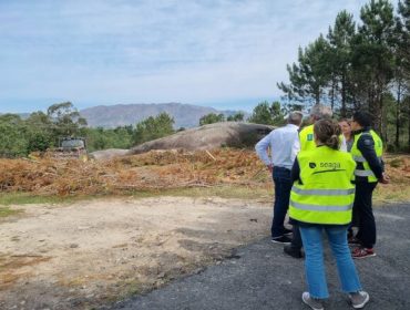 La Xunta limpiará la biomasa alrededor de las viviendas en siete ayuntamientos en un plan piloto