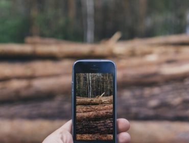 Fearmaga realiza un curso de nuevas tecnologías y aplicaciones en smartphones para el sector forestal