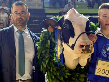 «Los animales ganadores de los concursos morfológicos tienen que ser buenas vacas lecheras»