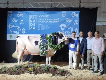 Kergo Ozalid elegida Vaca Gran Campeona del Open Feiradeza 2023