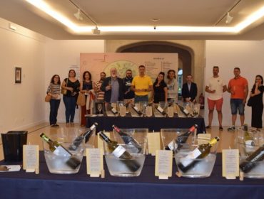 Túnel de vino de la D.O. Monterrei en la Deputación de Lugo