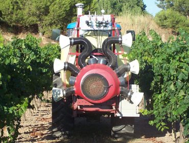 Innovación en el viñedo: herramientas para verificar variedades u optimizar el uso de fitosanitarios