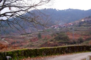 Declarados de utilidad pública por la Xunta tres polígonos agroforestales de Ourense