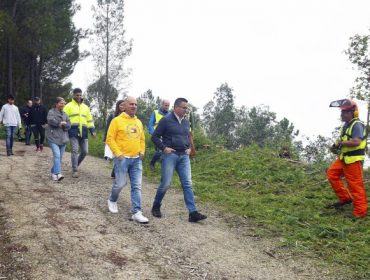 La Xunta elimina 33 hectáreas de acacia invasora para impulsar el polígono de Barzamedelle
