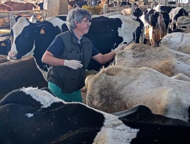 “La obligación de contar con un veterinario de explotación no va a suponer ningún problema para las granjas que están en una ADSG”