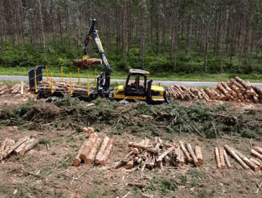 Ayudas para la segunda transformación de la industria forestal – madera y del contract