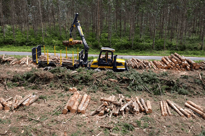 La Xunta aprueba apoyos para la industria forestal y de segunda transformación de la madera por 16,5 millones de euros