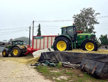 Concedidas ayudas del Ministerio de Agricultura a más de novecientas explotaciones agrarias de titularidad compartida