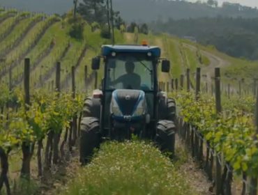 Quinta das Arcas, un bodega portuguesa con más de 200 hectáreas de viñedos que apuesta por las cubiertas vegetales