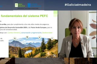  90 profesionales del sector forestal participan en el webinar organizado por PEFC Galicia 
