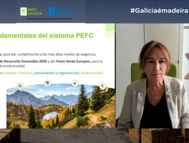 90 profesionales del sector forestal participan en el webinar organizado por PEFC Galicia