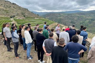 Un grupo de alumnos del Instituto Galego do Viño conoce in situ el potencial enológico de Valdeorras