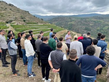 Un grupo de alumnos del Instituto Galego do Viño conoce in situ el potencial enológico de Valdeorras