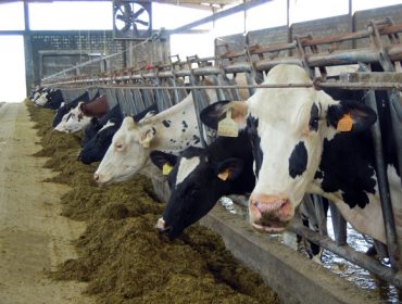 Los precios de la leche se mantienen hasta marzo ante el miedo a los efectos de la EHE sobre la producción en 2024