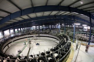 China: la construcción de una potencia láctea