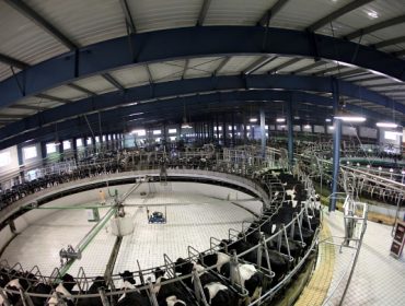 China: la construcción de una potencia láctea