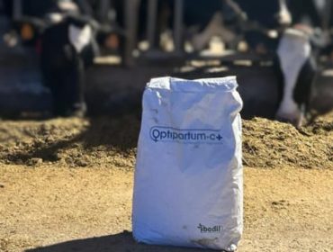 Optipartum C+: La enzima que permite aumentar 2 litros por vaca la producción de leche….sin cambiar la ración