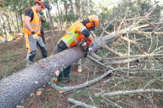 Aprender a través de juegos para reducir los accidentes en el sector forestal, una nueva técnica que se implanta con éxito en Galicia