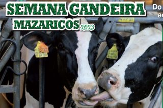 Mazaricos celebra la Semana Gandeira entre el 27 de noviembre y el 3 de diciembre
