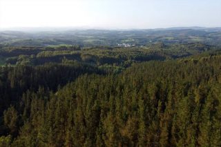 Salen nuevas ayudas para apoyar a las agrupaciones de gestión conjunta y al asociacionismo forestal