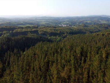 Salen nuevas ayudas para apoyar a las agrupaciones de gestión conjunta y al asociacionismo forestal