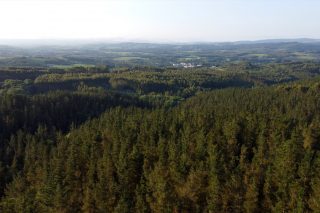 Sale a información pública el proyecto para regular los créditos de carbono forestales en Galicia