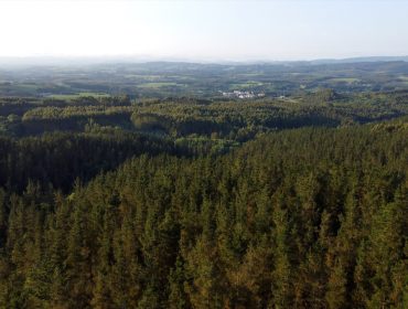 Sale a información pública el proyecto para regular los créditos de carbono forestales en Galicia